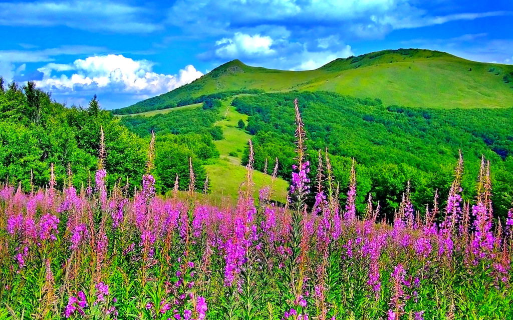 Spring Landscape Beautiful Mountain Landscape Truly Hand Picked