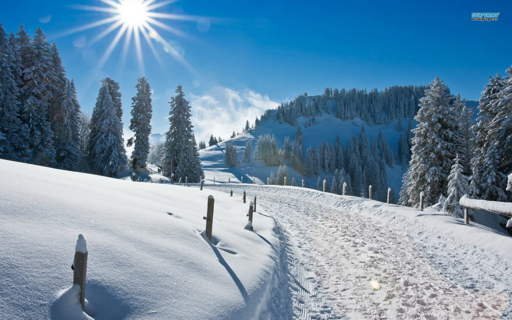 Mid day sun hd winter wallpapers