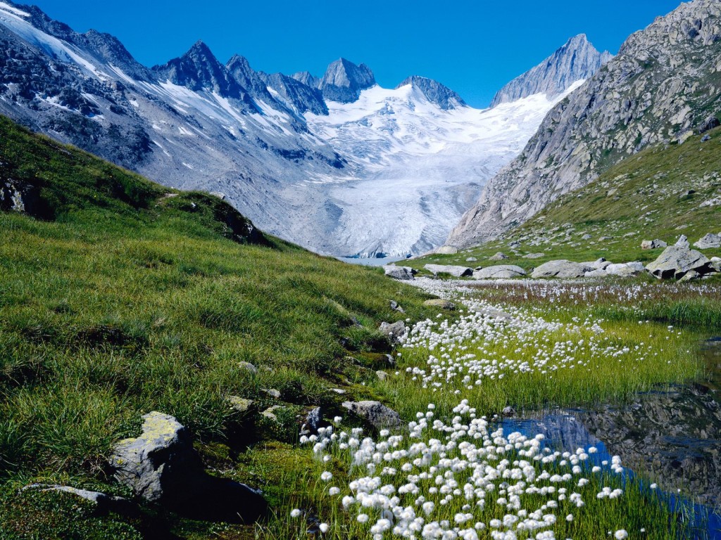 Switzerland hd normal snow mountain
