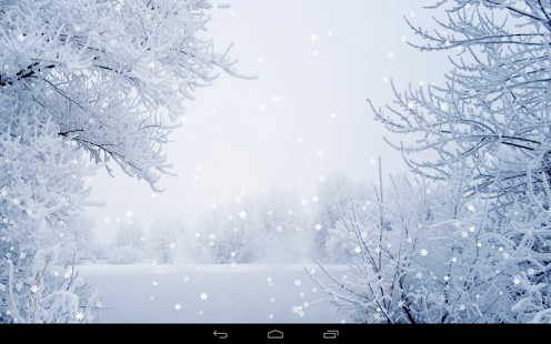 Snow fall and frozen branches of trees winter wallpapers