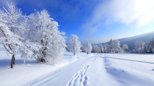 Vehicle trails on snow winter wallpapers