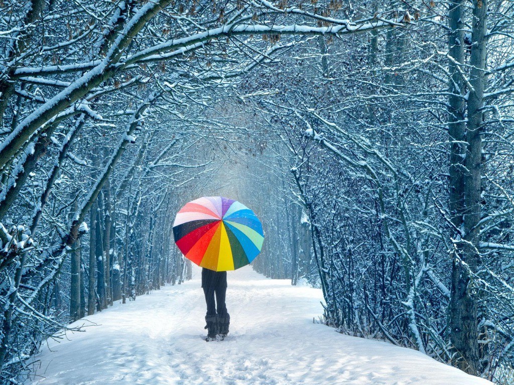 Walking with Colorful umbrella winter wallpapers