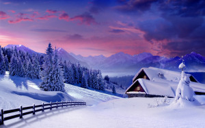 Dense snow and trees cottage winter wallpapers