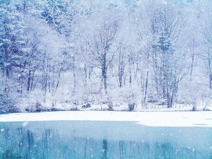 Frozen lake and snow fall winter wallpapers