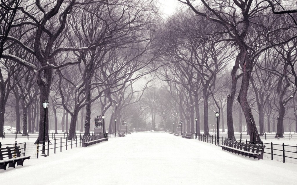 Snow pathway winter wallpapers
