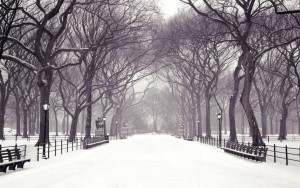 Snow pathway winter wallpapers