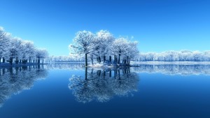 Frozen trees in the lake winter wallpapers