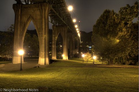 Cathedral park Portland at night