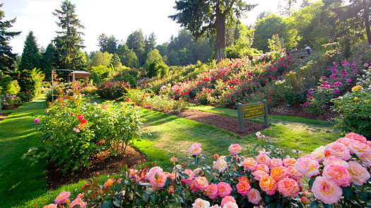 From Roses to Rivers: 120+ Amazing Things of Portland Oregon