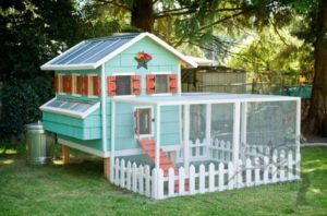 2 Colorful DIY Chicken Coop with Attached Hen House