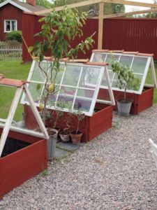 7 DIY Individual Greenhouse Structure for Flower Beds