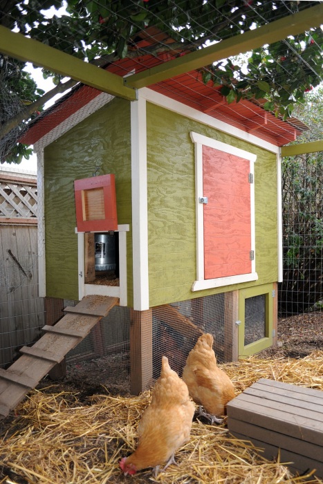 10 DIY Inexpensive Chicken Coop with Raised Cube