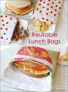10 Fabric Made Utterly Functional and Reusable Lunch Bag with Flap Open Style on Laminated Cotto ...