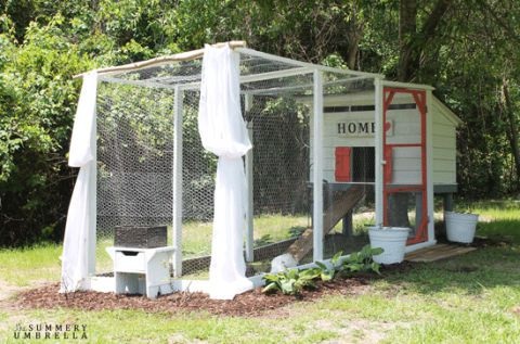 7 Functional Large Chicken Coop with Curtain Dcor