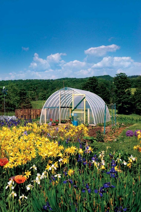 6 Hoop Green House with Transparent Plastic Cover on Metallic Structure
