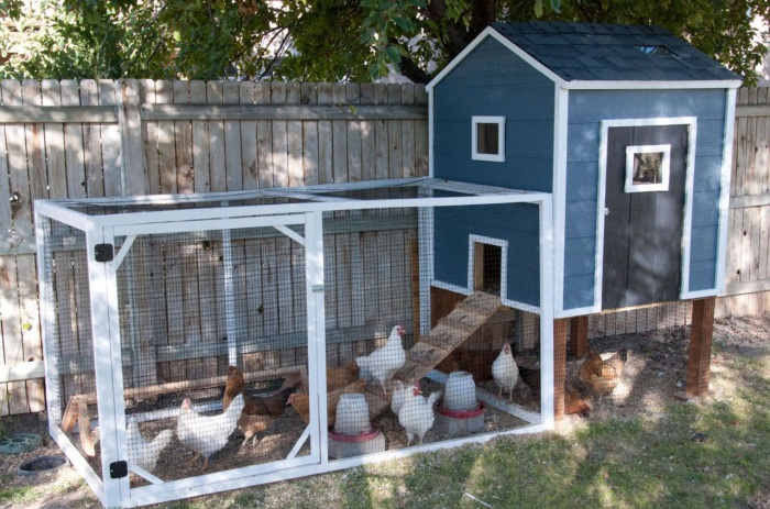 4 Ideal Diy Chicken Coop Project for Open Backyard Farm