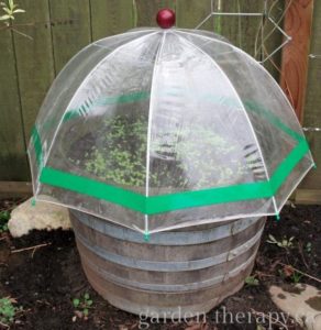 2 Simple Umbrella Shape Green House over Rustic Plant Bucket