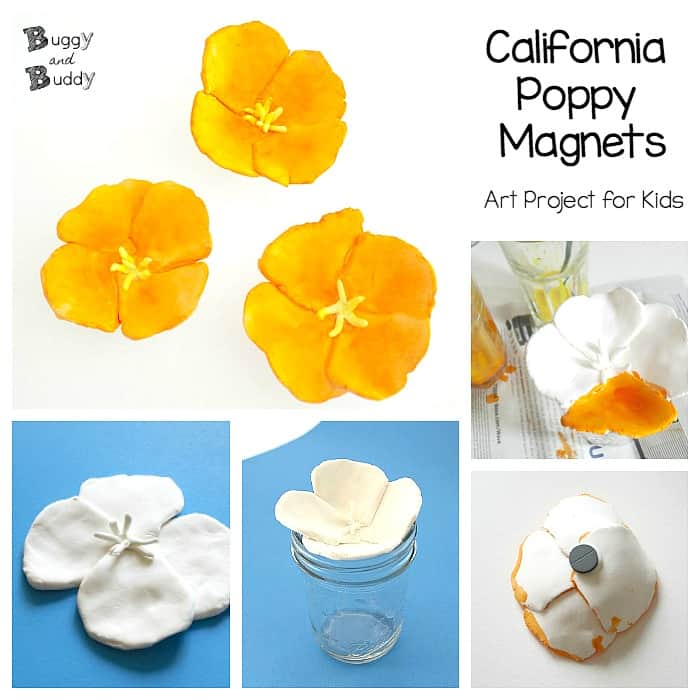 Catchy California Poppy Magnet Flower Crafts