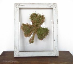 DIY Moss Craft: Framed Shamrock Wall Art