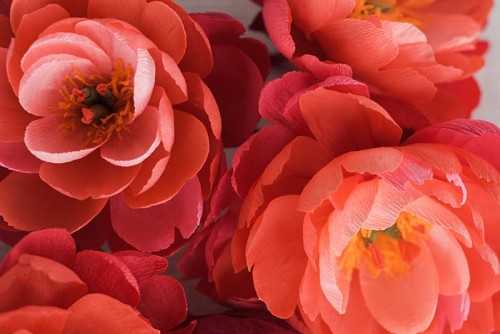 Paper Flowers-DIY Coral Charm Peony