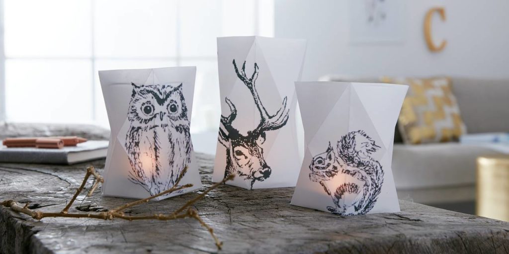DIY Paper Lanterns with Animal Drawing