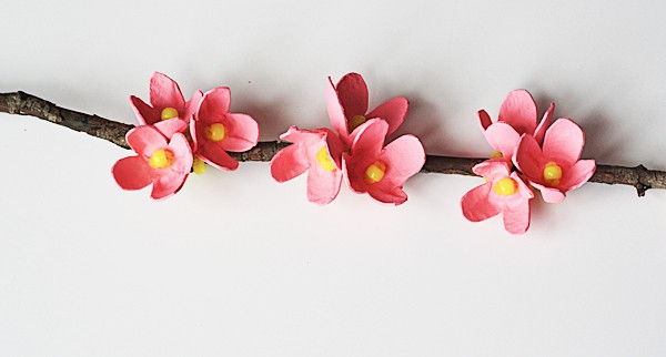 Pro-Like Egg Carton Craft for Experts: Cherry Blossom Branch with Real Stem