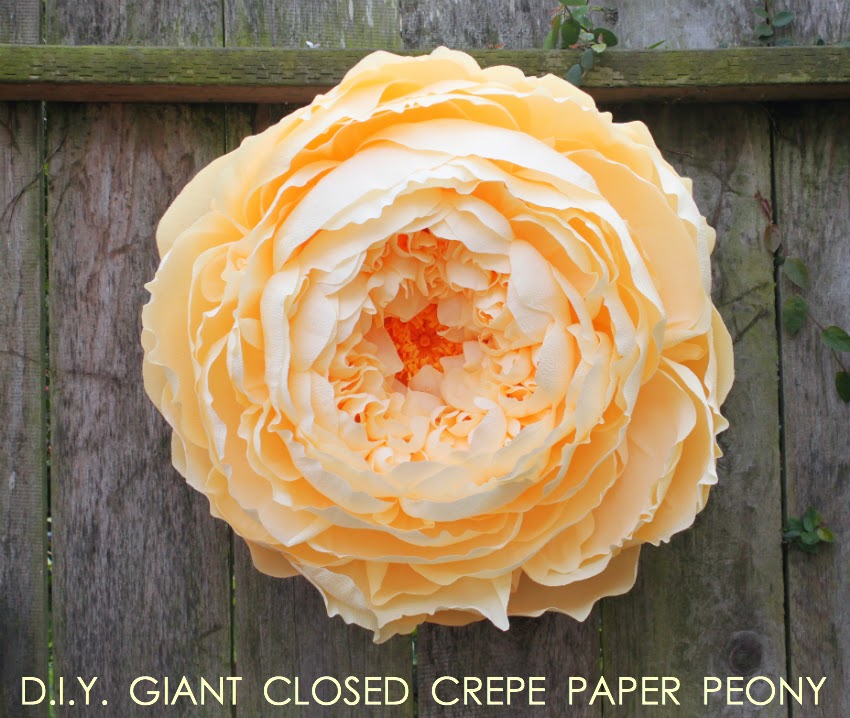Wonderful DIY Flower: Giant Crepe Paper Peony