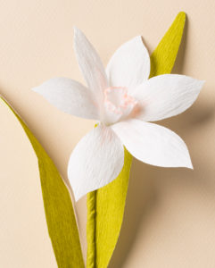 Subtle Paper Flower Narcissus- A Pro Like DIY Craft