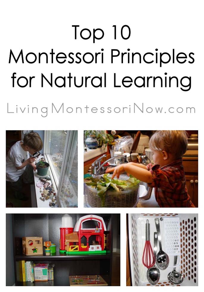 Montessori-Inspired Dinosaur Activities for Toddlers
