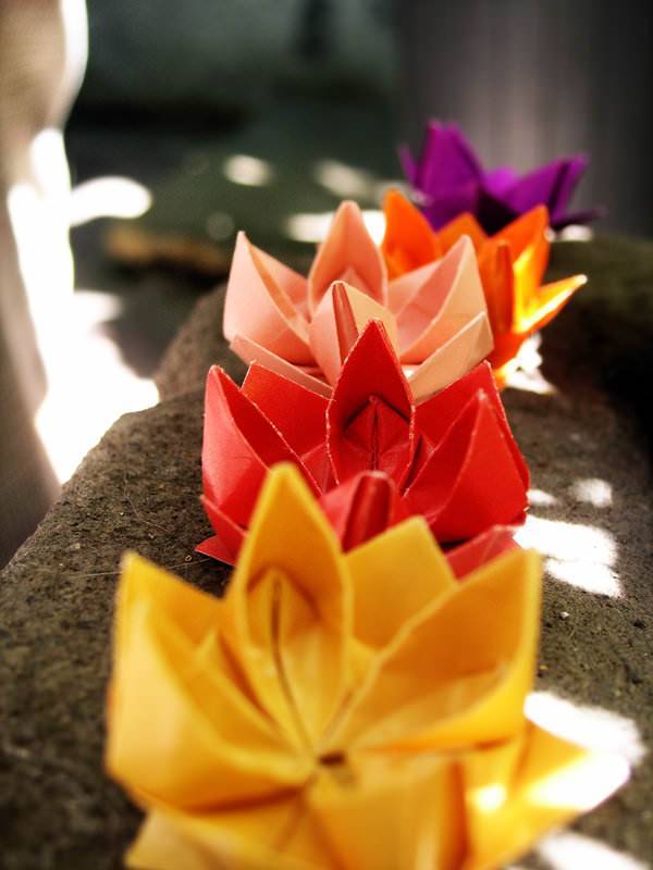 Cute and Little Origami Paper Lotus