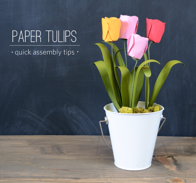 QUick DIY Craft: Colorful Paper Tulip