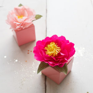 5 Minutes Paper Craft: DIY Crepe Paper Peony