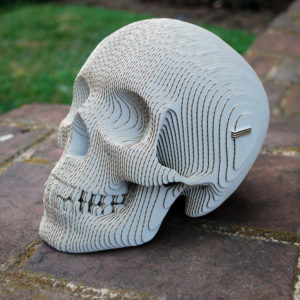 DIY Human Sculpture Skull with Laser Cut Cardboard and White Paint Stroke