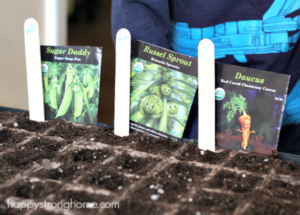 DIY Gardening: Growing Plant STEM Activity for Toddlers