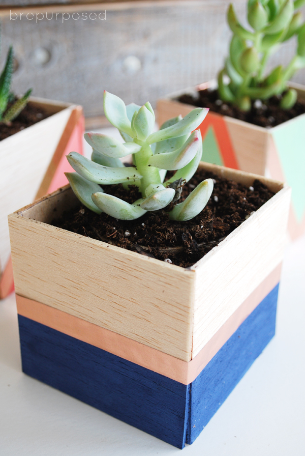 Magnificent Balsa Wood Planter with Nice Color Strokes