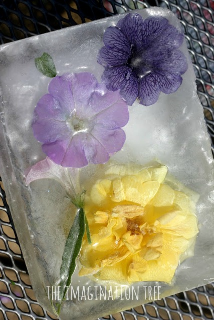 DIY Freezing and Melting Flowers in Ice: Fun Ice Activity for Toddlers