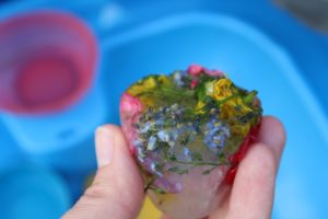 Frozen Flowers Sensory Ice Play: A Knowledgeable Spring Activity for Kids