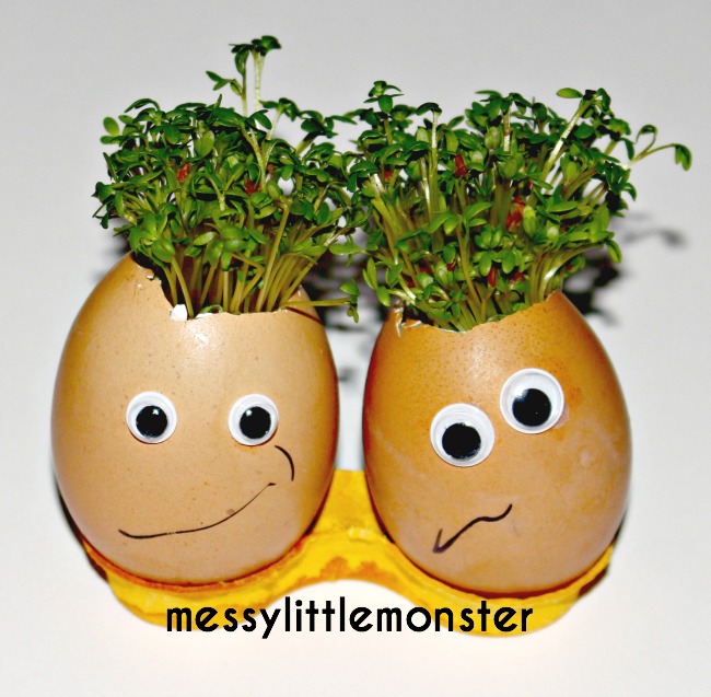 Growing Cress Head from Egg Shells: Re-purposed Spring Activity for Kids