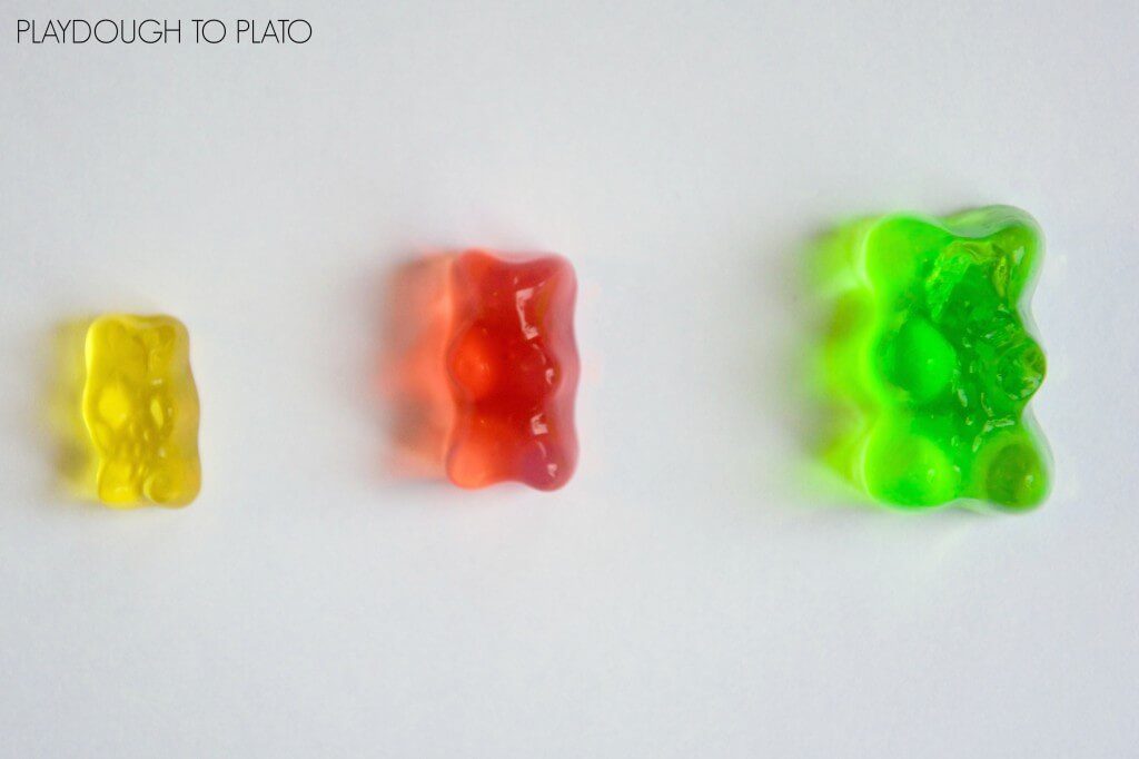 Growing Gummy Bears: STEM Science Activity with Playdough