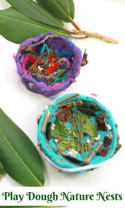 DIY Play Dough Nature Nest Idea for Outdoor Learning Activities
