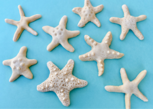 Salt Dough Starfish: Summer Craft from Kitchen Ingredients