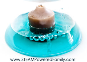 Best Science STEM Activity: Water Rise Experiment for Kids