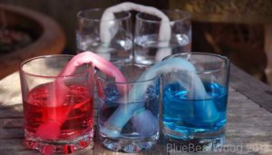 Water Movement STEM Experiment: Water Moves Capillary Action