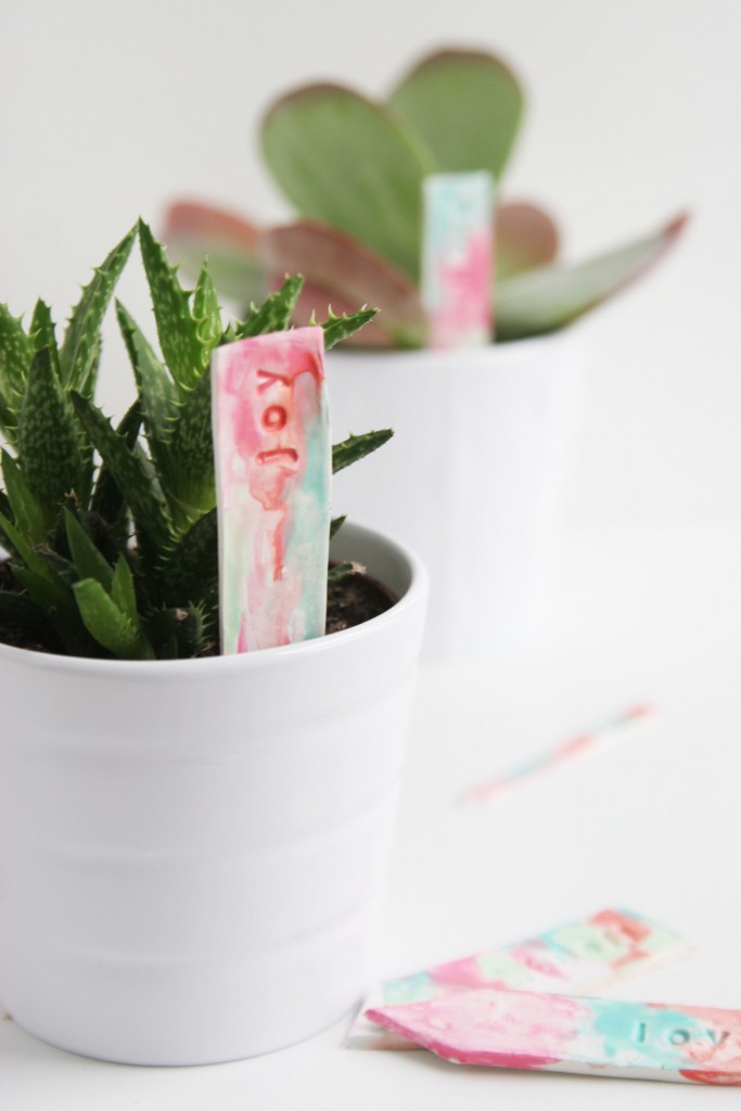 Watercolor Plant Markers – DIY Easy Ginger for Kids