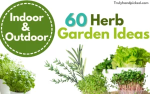Kitchen to Patio: 60 Indoor and Outdoor Herb Garden Ideas