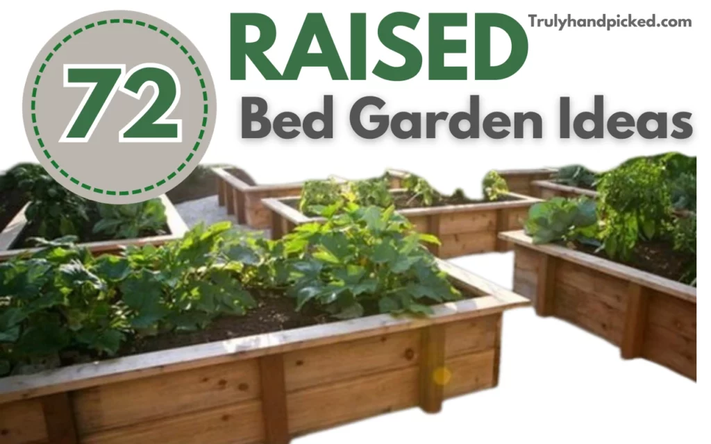 72 Raised Bed Garden Ideas From Easy Pallet Garden to Tins