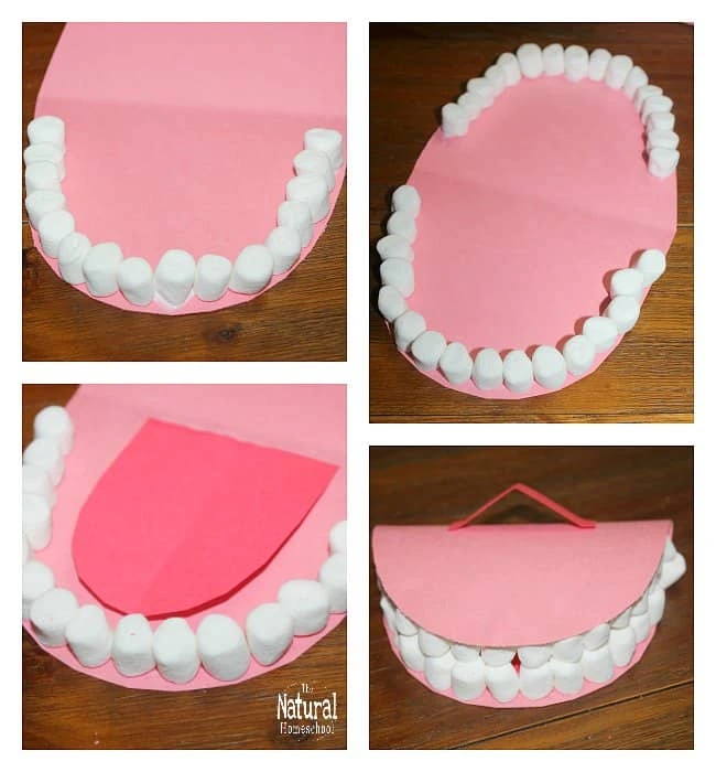 Mouth Tooth Arts Crafts for School Kids