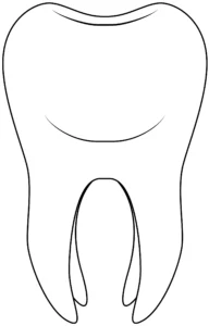 Tooth Outline Printable Coloring Page