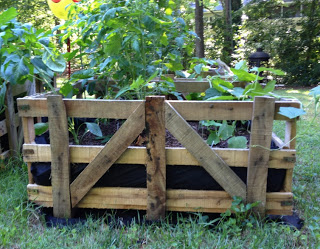 A Thriving Garden Plant View with Large Pallet Crate Raised Garden Bed in No-Paint Rustic Look
