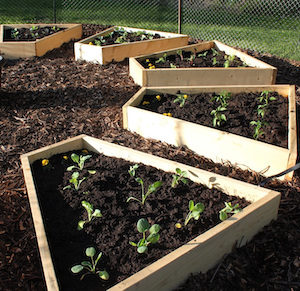 Pretty DIY Raised Medicinal Wheel Garden Idea with Fresh Lumber Boards